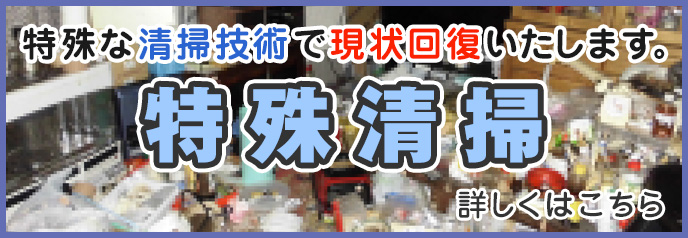 特殊清掃